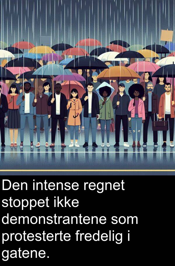 regnet: Den intense regnet stoppet ikke demonstrantene som protesterte fredelig i gatene.