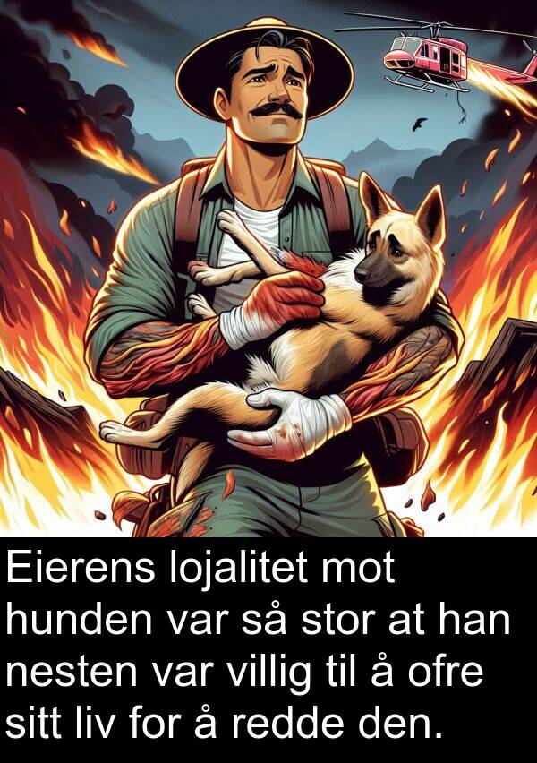 ofre: Eierens lojalitet mot hunden var så stor at han nesten var villig til å ofre sitt liv for å redde den.