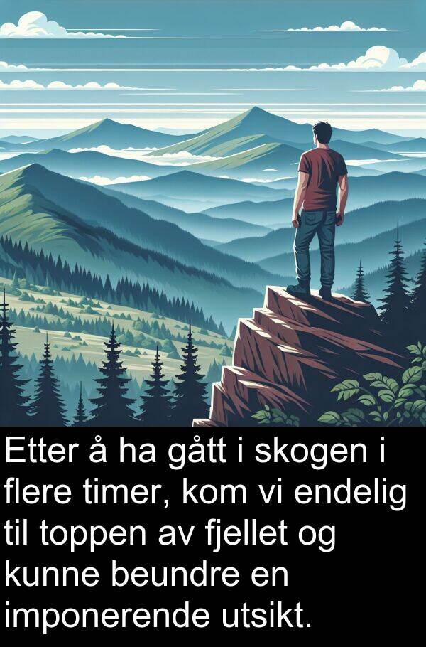 skogen: Etter å ha gått i skogen i flere timer, kom vi endelig til toppen av fjellet og kunne beundre en imponerende utsikt.