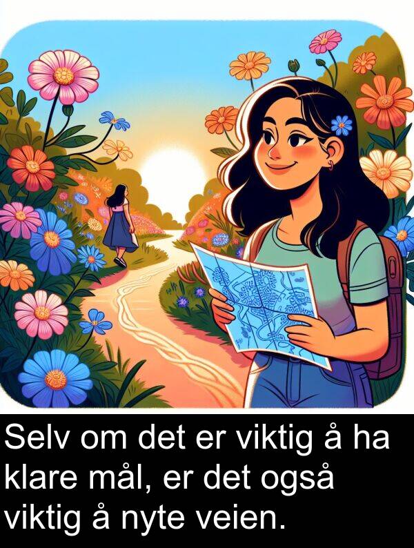 også: Selv om det er viktig å ha klare mål, er det også viktig å nyte veien.