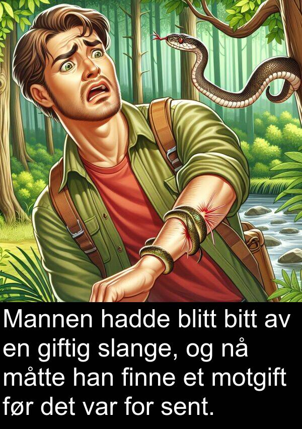 finne: Mannen hadde blitt bitt av en giftig slange, og nå måtte han finne et motgift før det var for sent.