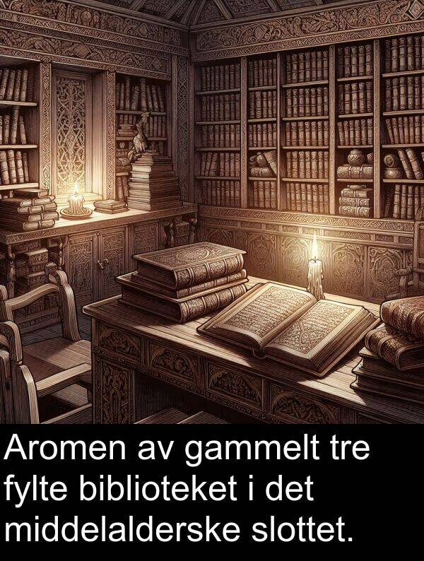 gammelt: Aromen av gammelt tre fylte biblioteket i det middelalderske slottet.