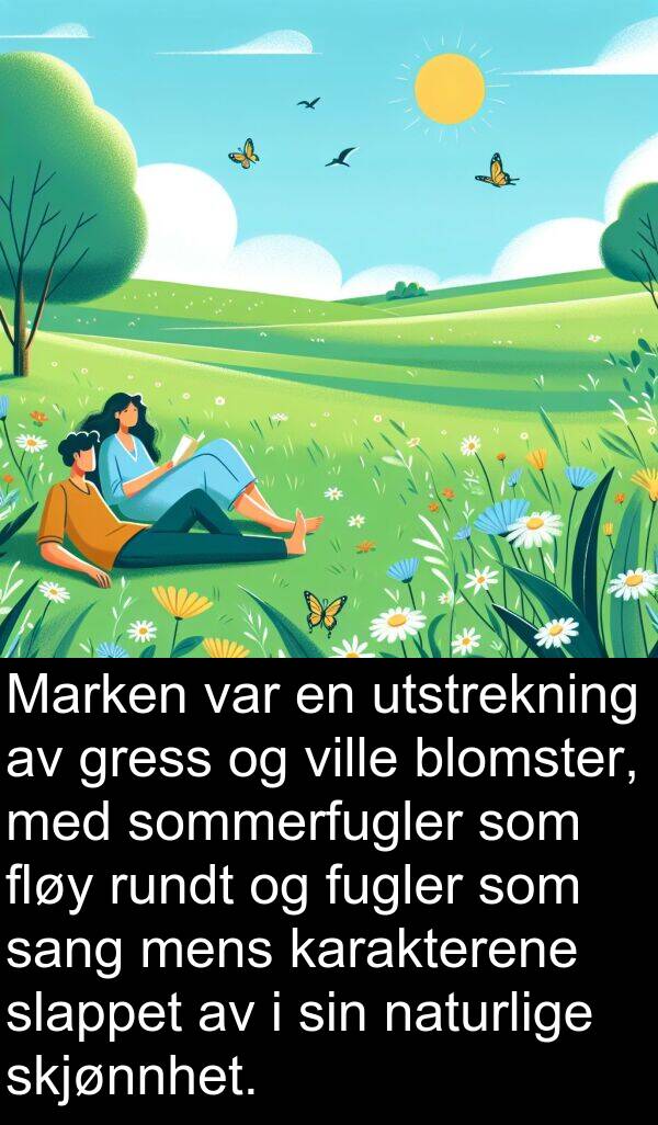 karakterene: Marken var en utstrekning av gress og ville blomster, med sommerfugler som fløy rundt og fugler som sang mens karakterene slappet av i sin naturlige skjønnhet.