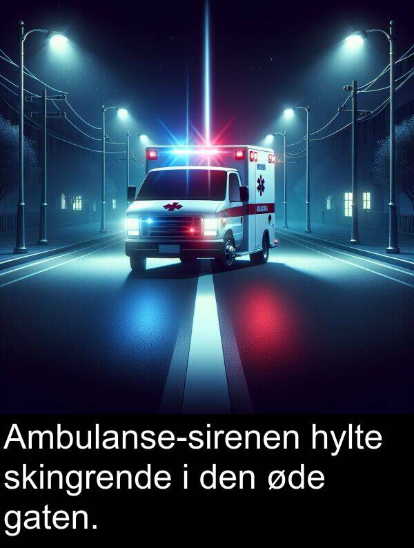 øde: Ambulanse-sirenen hylte skingrende i den øde gaten.