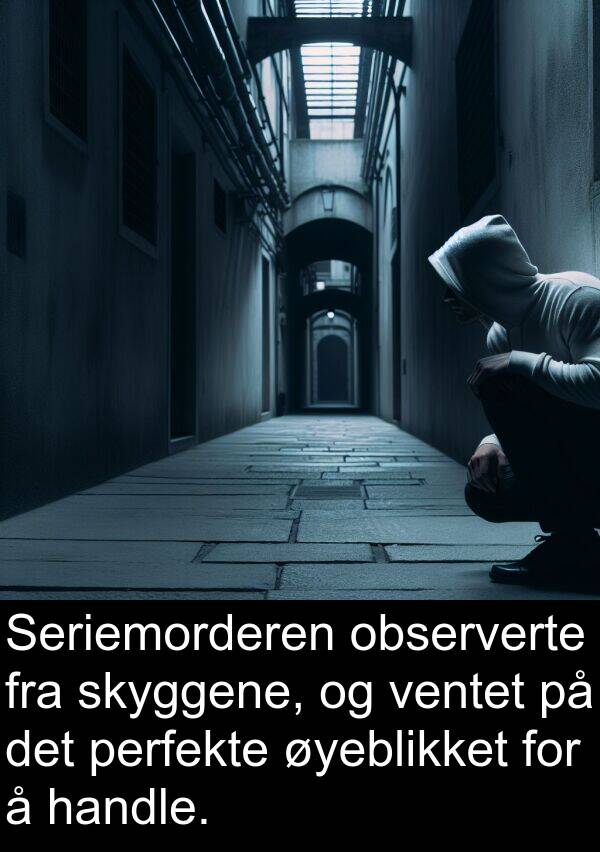 perfekte: Seriemorderen observerte fra skyggene, og ventet på det perfekte øyeblikket for å handle.
