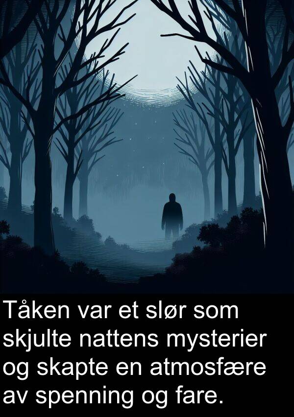 skjulte: Tåken var et slør som skjulte nattens mysterier og skapte en atmosfære av spenning og fare.