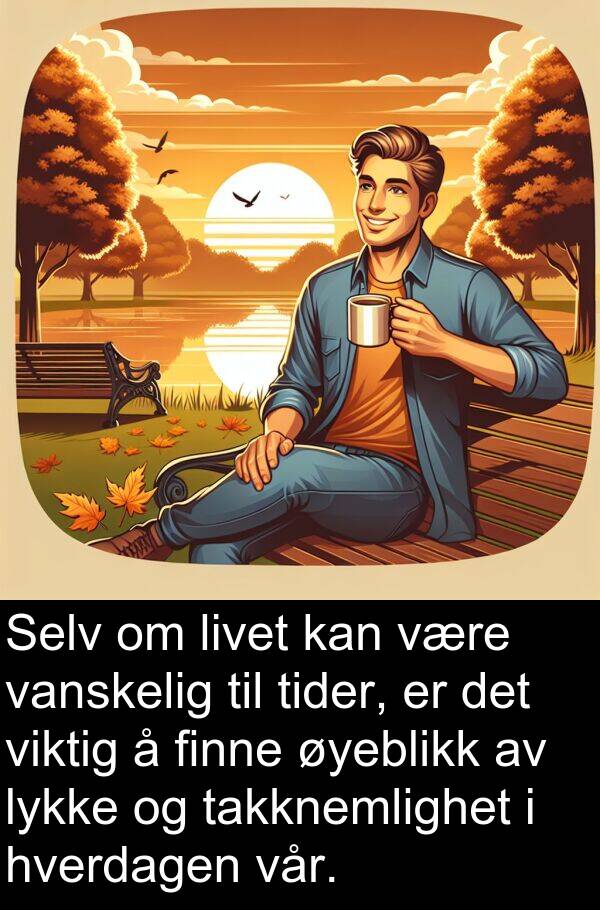 hverdagen: Selv om livet kan være vanskelig til tider, er det viktig å finne øyeblikk av lykke og takknemlighet i hverdagen vår.