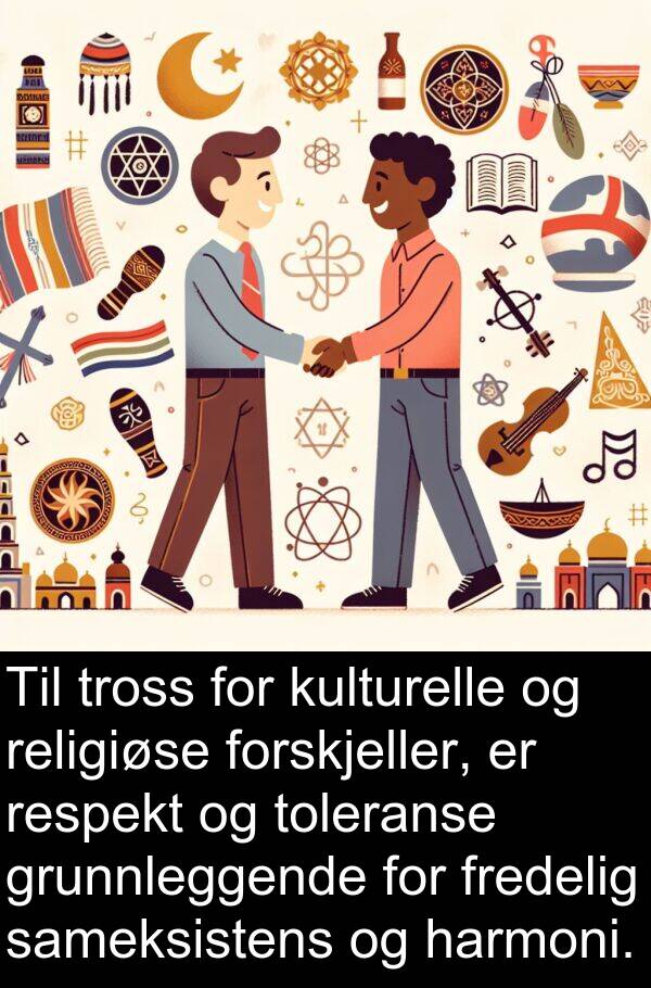 harmoni: Til tross for kulturelle og religiøse forskjeller, er respekt og toleranse grunnleggende for fredelig sameksistens og harmoni.