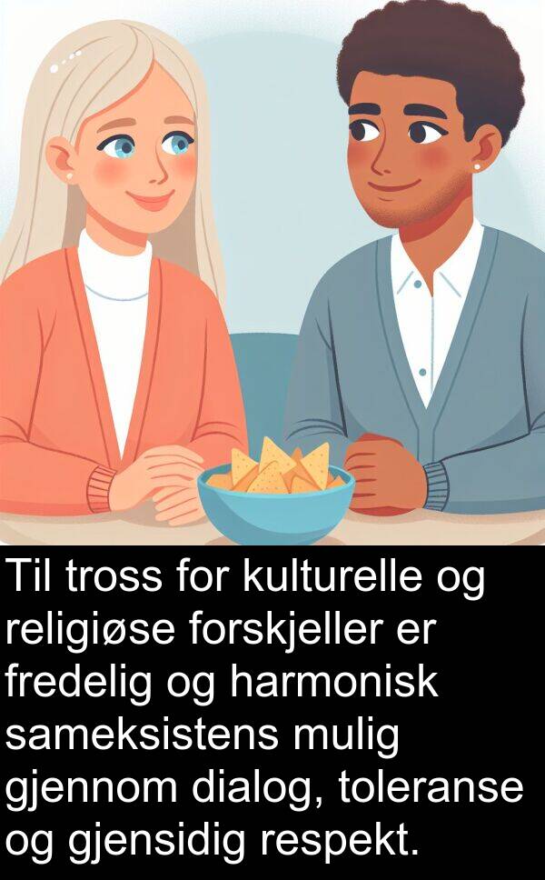 harmonisk: Til tross for kulturelle og religiøse forskjeller er fredelig og harmonisk sameksistens mulig gjennom dialog, toleranse og gjensidig respekt.