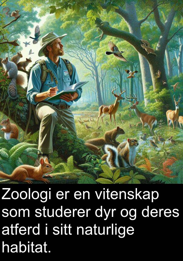 dyr: Zoologi er en vitenskap som studerer dyr og deres atferd i sitt naturlige habitat.