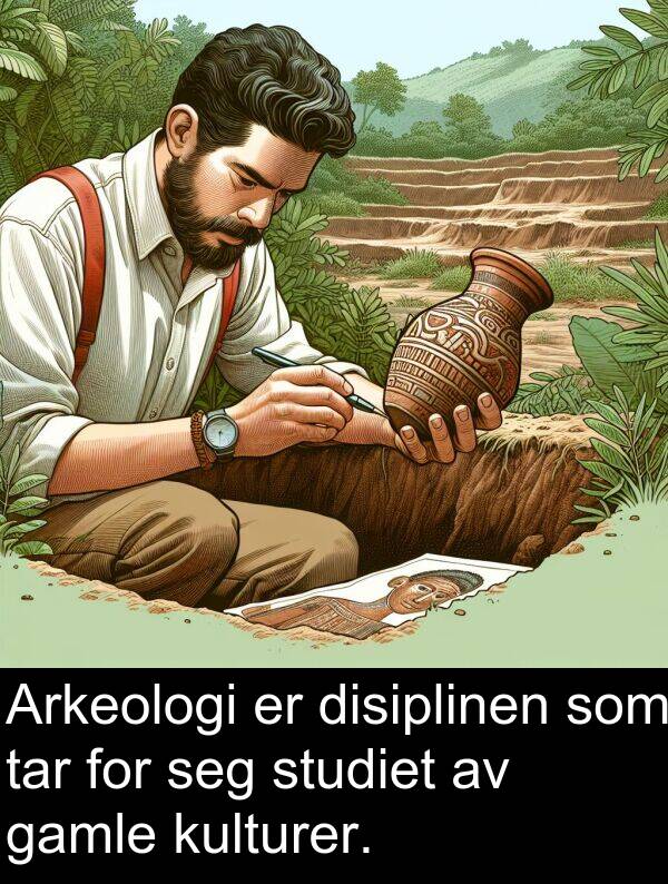 tar: Arkeologi er disiplinen som tar for seg studiet av gamle kulturer.