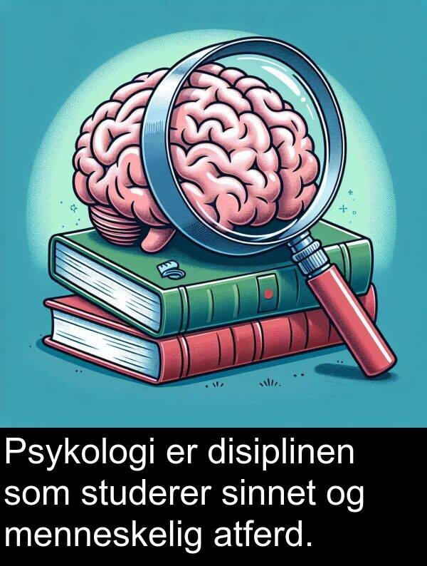 studerer: Psykologi er disiplinen som studerer sinnet og menneskelig atferd.
