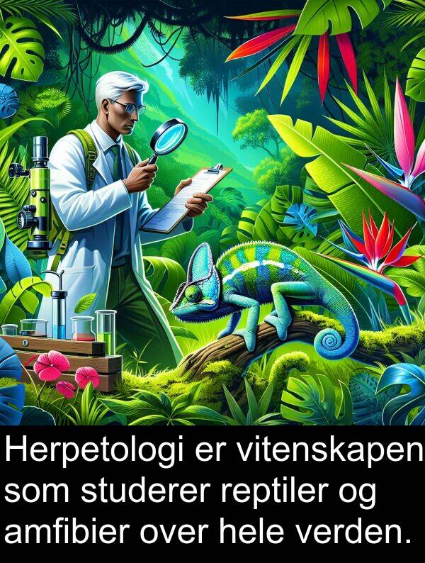 studerer: Herpetologi er vitenskapen som studerer reptiler og amfibier over hele verden.