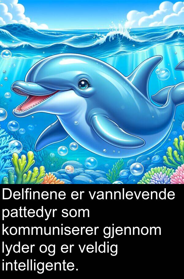 vannlevende: Delfinene er vannlevende pattedyr som kommuniserer gjennom lyder og er veldig intelligente.