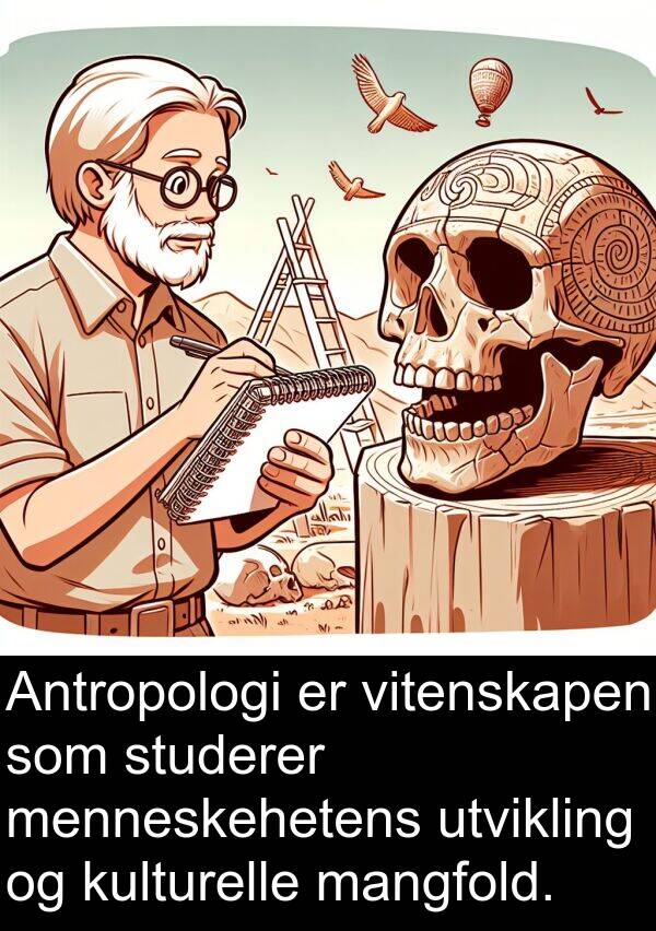 studerer: Antropologi er vitenskapen som studerer menneskehetens utvikling og kulturelle mangfold.