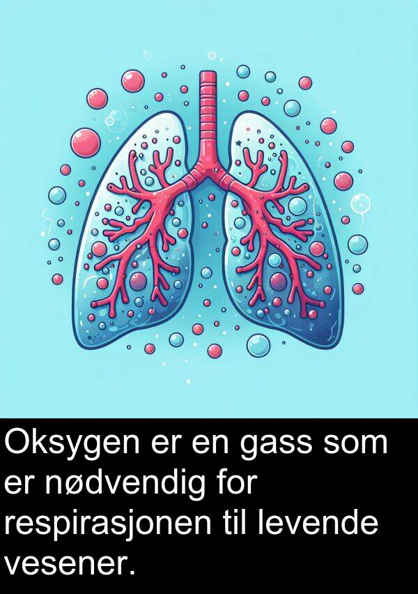 respirasjonen: Oksygen er en gass som er nødvendig for respirasjonen til levende vesener.