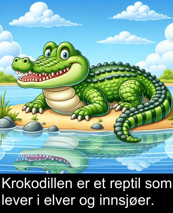 reptil: Krokodillen er et reptil som lever i elver og innsjøer.