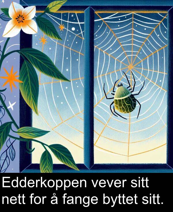 fange: Edderkoppen vever sitt nett for å fange byttet sitt.