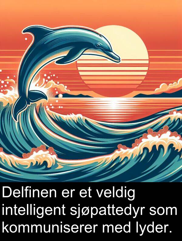 intelligent: Delfinen er et veldig intelligent sjøpattedyr som kommuniserer med lyder.