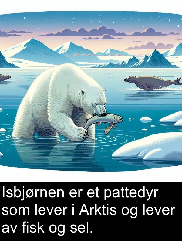 sel: Isbjørnen er et pattedyr som lever i Arktis og lever av fisk og sel.