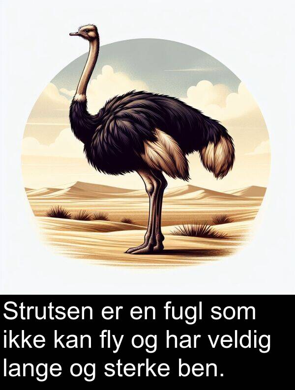 fly: Strutsen er en fugl som ikke kan fly og har veldig lange og sterke ben.