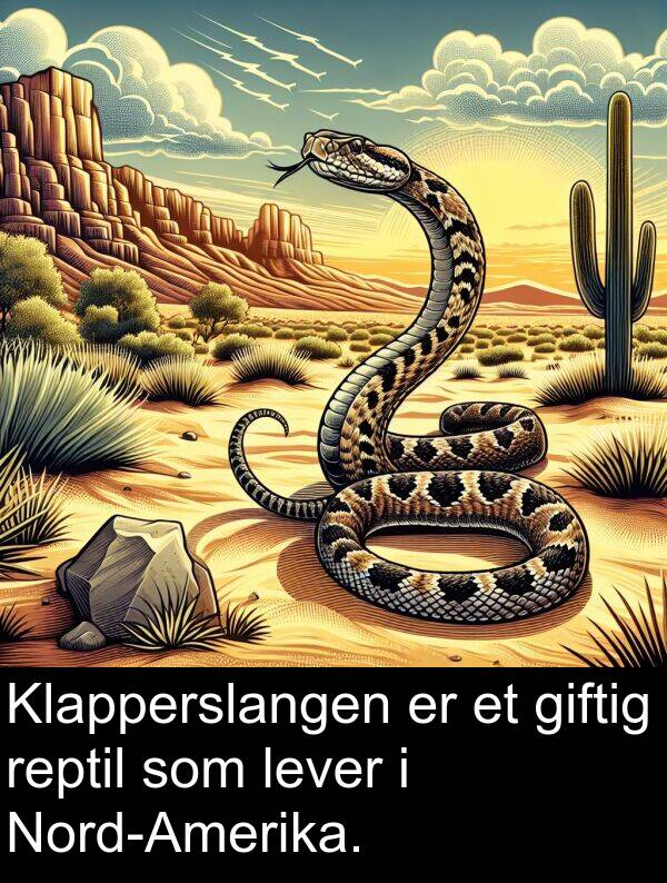 reptil: Klapperslangen er et giftig reptil som lever i Nord-Amerika.