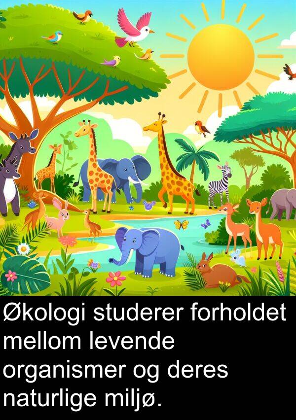 organismer: Økologi studerer forholdet mellom levende organismer og deres naturlige miljø.