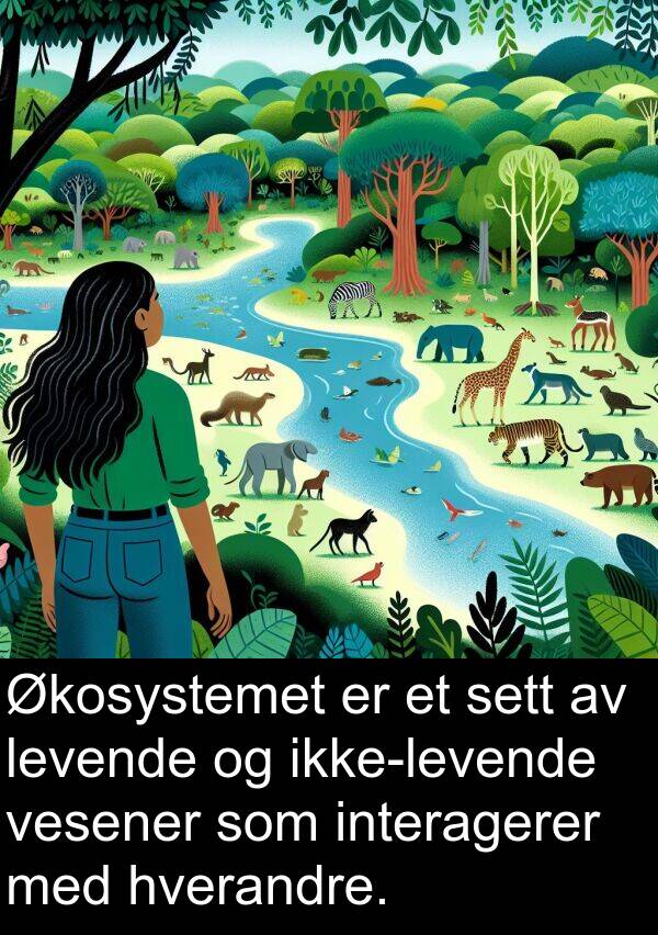 hverandre: Økosystemet er et sett av levende og ikke-levende vesener som interagerer med hverandre.