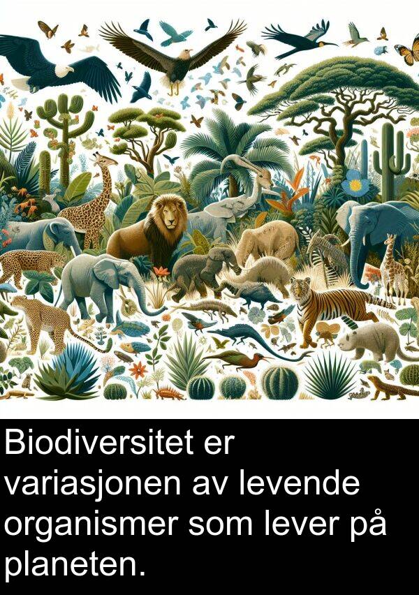planeten: Biodiversitet er variasjonen av levende organismer som lever på planeten.