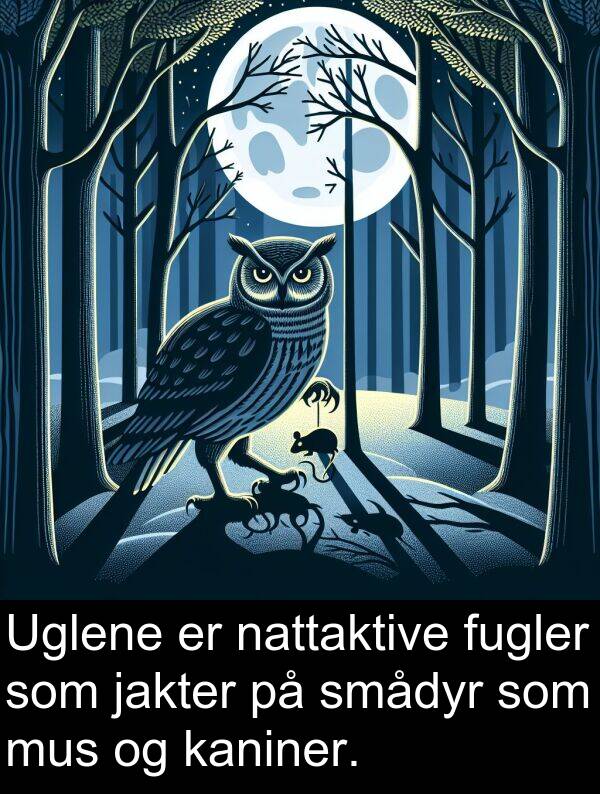 kaniner: Uglene er nattaktive fugler som jakter på smådyr som mus og kaniner.