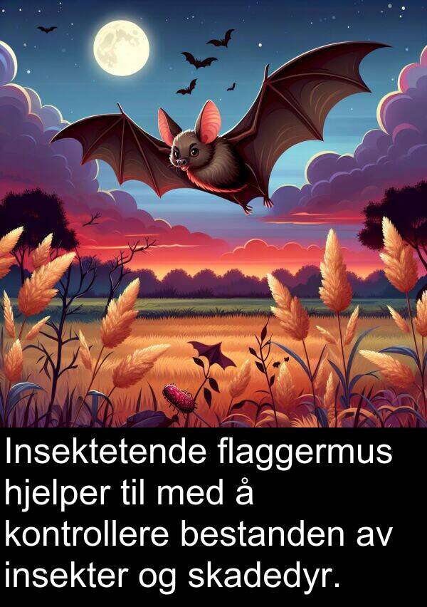 flaggermus: Insektetende flaggermus hjelper til med å kontrollere bestanden av insekter og skadedyr.