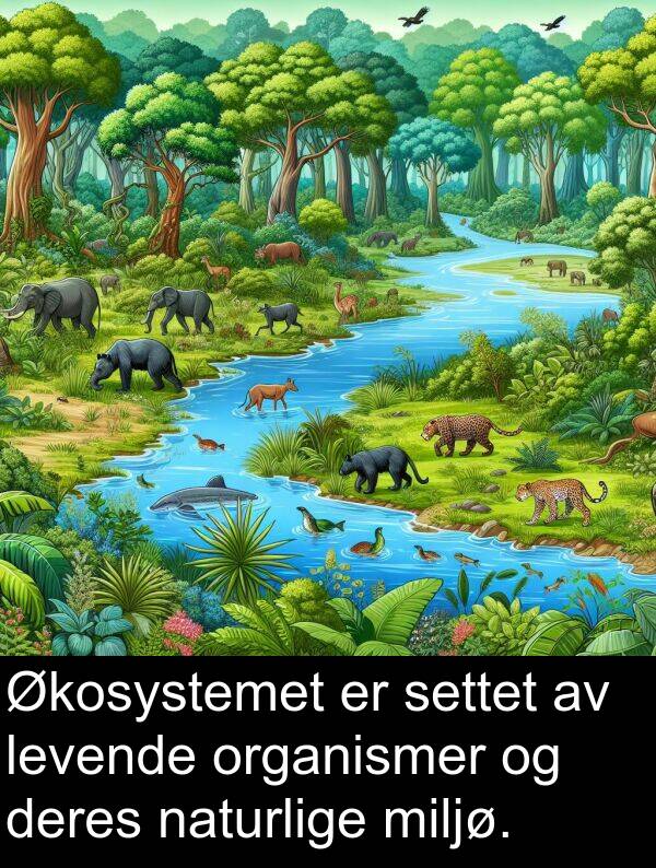 organismer: Økosystemet er settet av levende organismer og deres naturlige miljø.