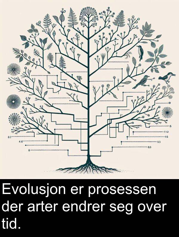 over: Evolusjon er prosessen der arter endrer seg over tid.