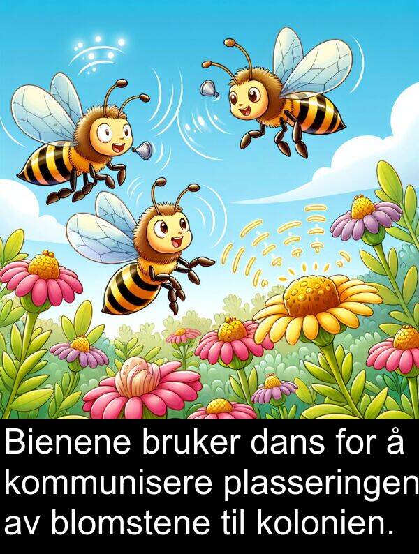 dans: Bienene bruker dans for å kommunisere plasseringen av blomstene til kolonien.