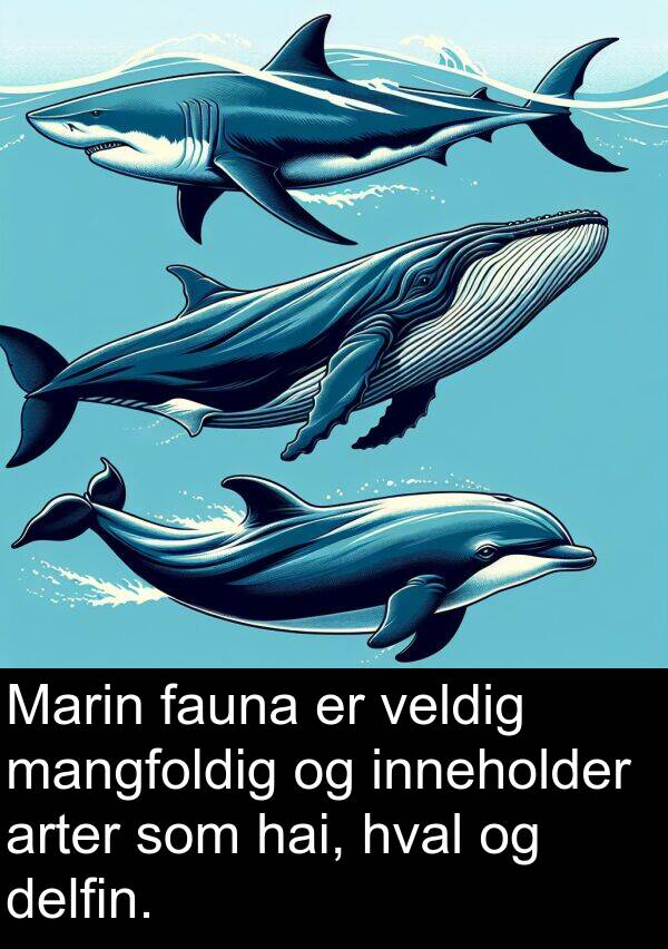 mangfoldig: Marin fauna er veldig mangfoldig og inneholder arter som hai, hval og delfin.
