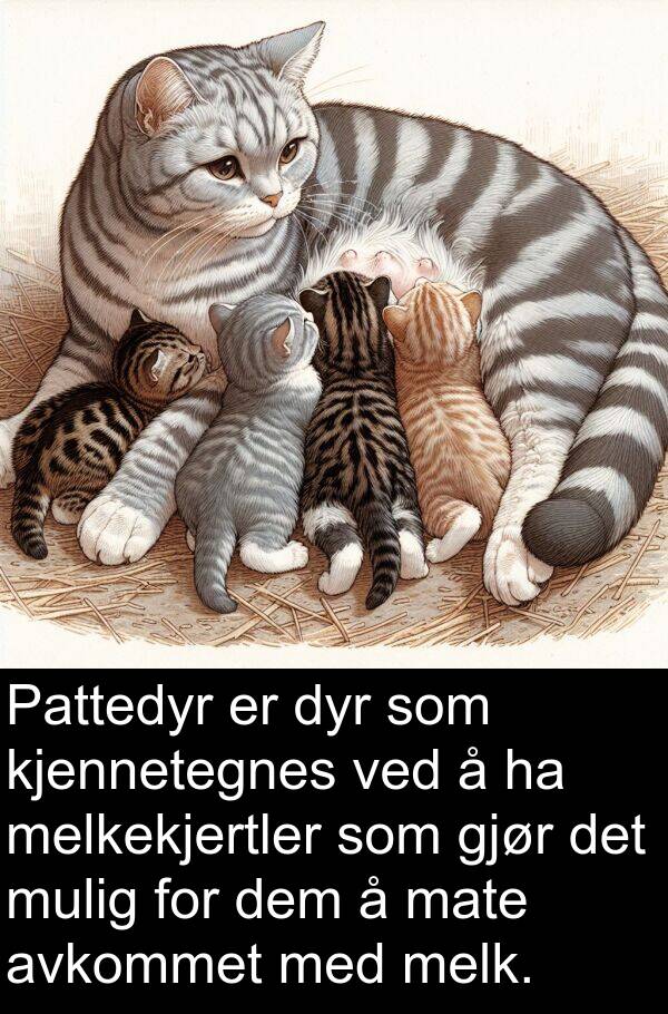 dyr: Pattedyr er dyr som kjennetegnes ved å ha melkekjertler som gjør det mulig for dem å mate avkommet med melk.