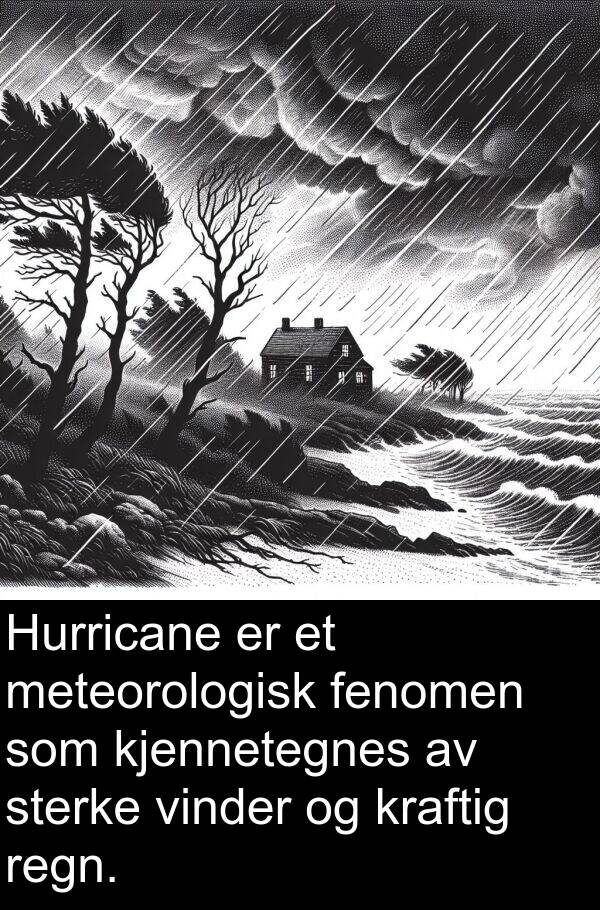 regn: Hurricane er et meteorologisk fenomen som kjennetegnes av sterke vinder og kraftig regn.