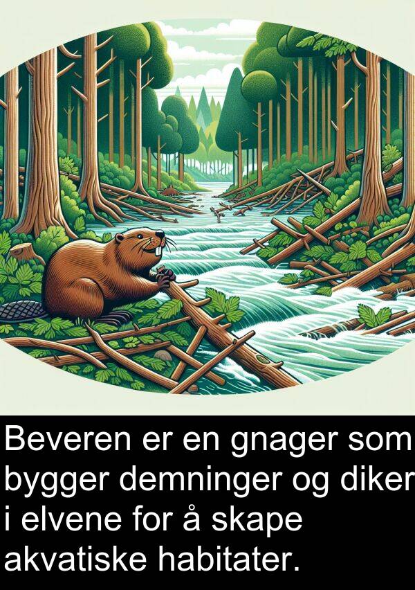 habitater: Beveren er en gnager som bygger demninger og diker i elvene for å skape akvatiske habitater.