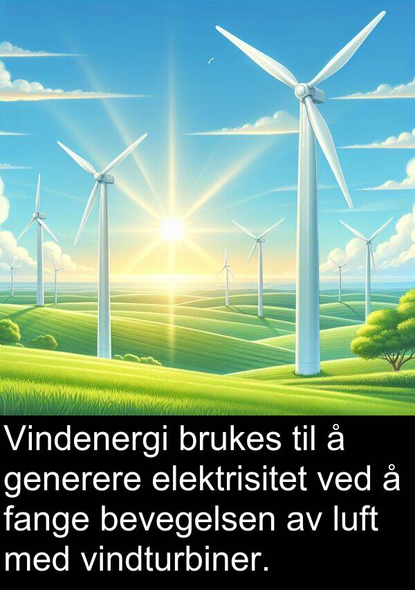 generere: Vindenergi brukes til å generere elektrisitet ved å fange bevegelsen av luft med vindturbiner.