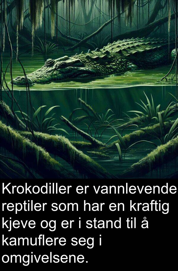 omgivelsene: Krokodiller er vannlevende reptiler som har en kraftig kjeve og er i stand til å kamuflere seg i omgivelsene.