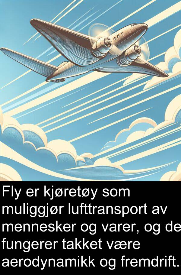 fremdrift: Fly er kjøretøy som muliggjør lufttransport av mennesker og varer, og de fungerer takket være aerodynamikk og fremdrift.