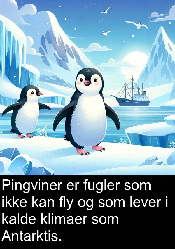 fly: Pingviner er fugler som ikke kan fly og som lever i kalde klimaer som Antarktis.