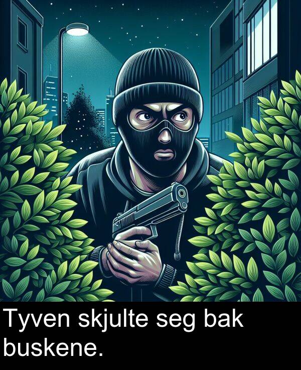 skjulte: Tyven skjulte seg bak buskene.