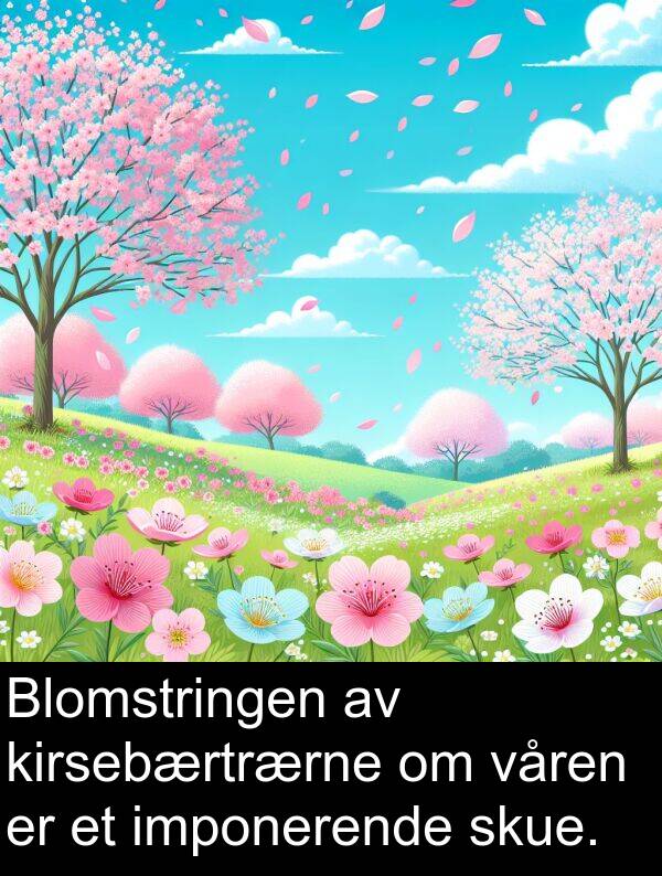 kirsebærtrærne: Blomstringen av kirsebærtrærne om våren er et imponerende skue.