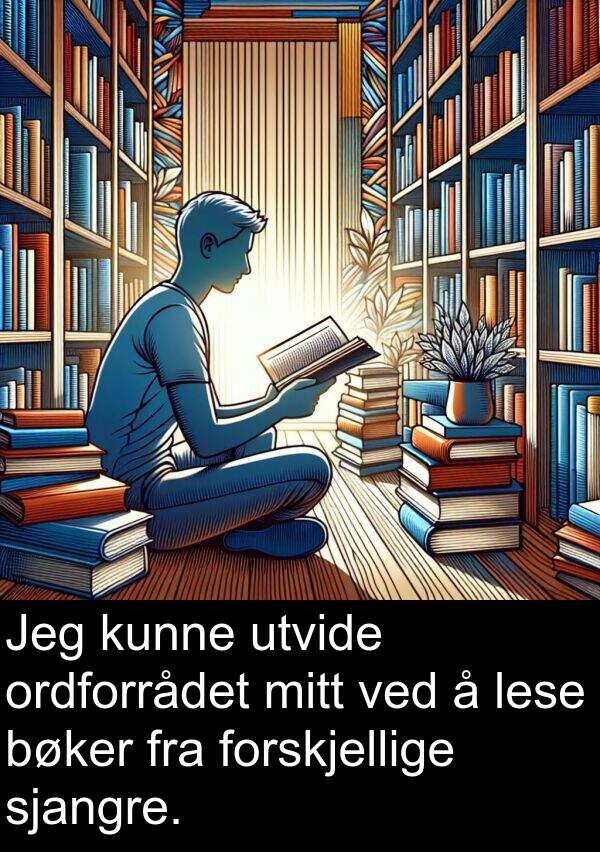 ordforrådet: Jeg kunne utvide ordforrådet mitt ved å lese bøker fra forskjellige sjangre.