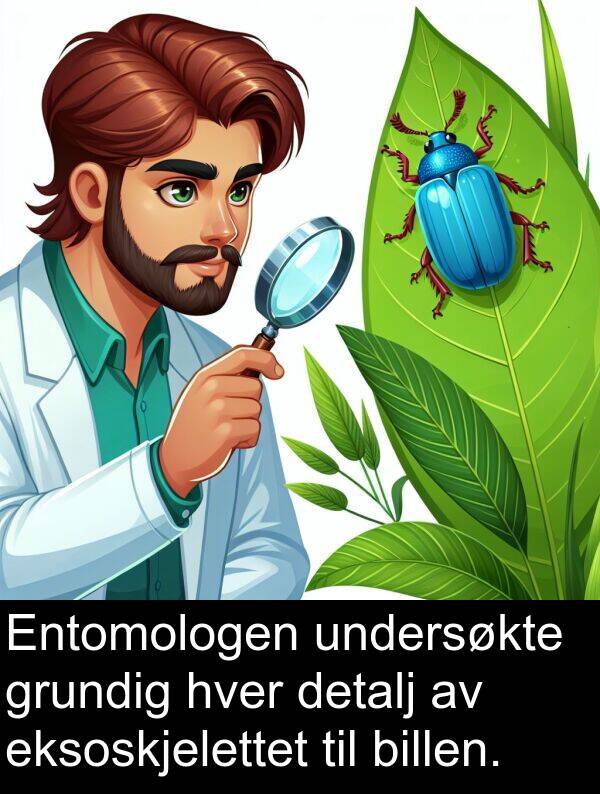 grundig: Entomologen undersøkte grundig hver detalj av eksoskjelettet til billen.