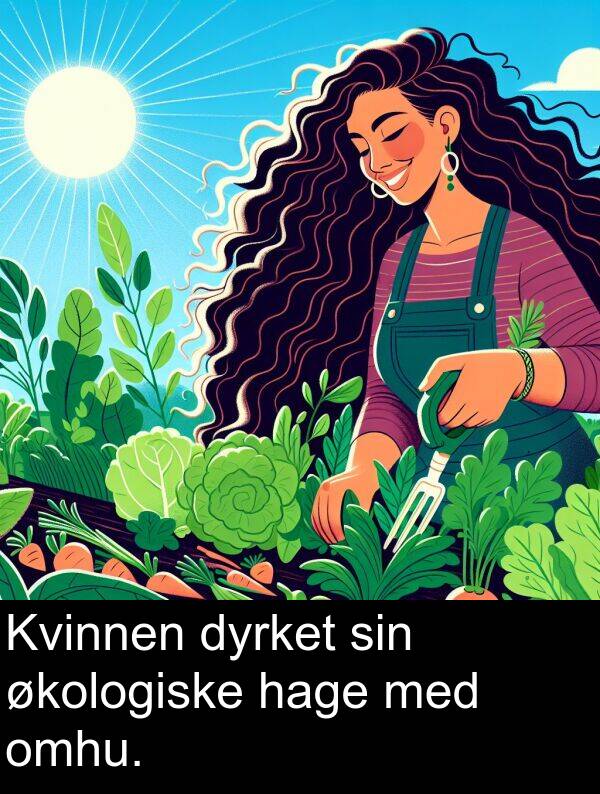 dyrket: Kvinnen dyrket sin økologiske hage med omhu.