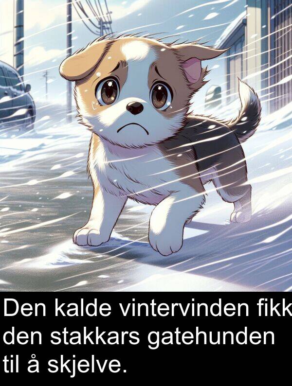 kalde: Den kalde vintervinden fikk den stakkars gatehunden til å skjelve.
