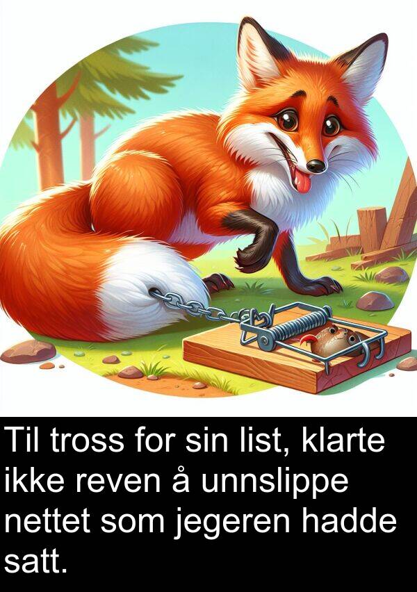 satt: Til tross for sin list, klarte ikke reven å unnslippe nettet som jegeren hadde satt.