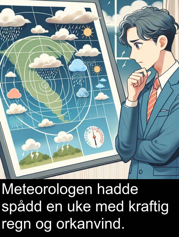 orkanvind: Meteorologen hadde spådd en uke med kraftig regn og orkanvind.
